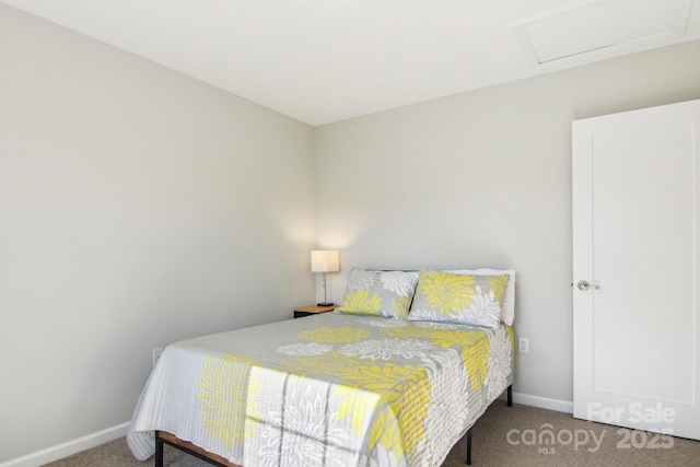 bedroom featuring carpet floors