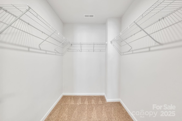 spacious closet featuring carpet