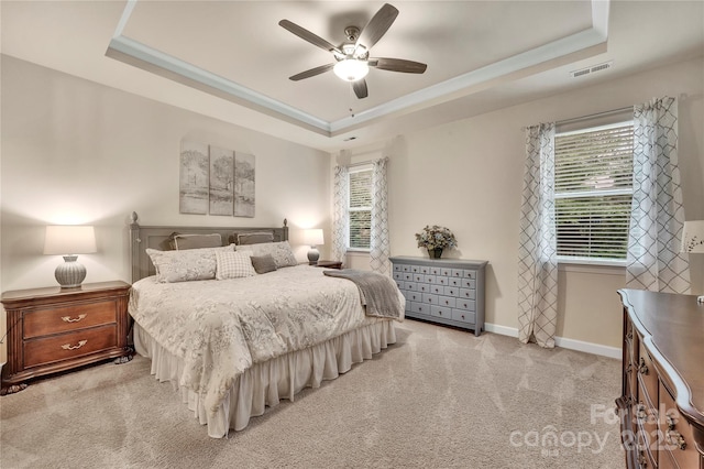 4929 Norman Park Pl, Clover, SC 29710 - carpeted bedroom featuring multiple windows, baseboards, a raised ceiling, and visible vents