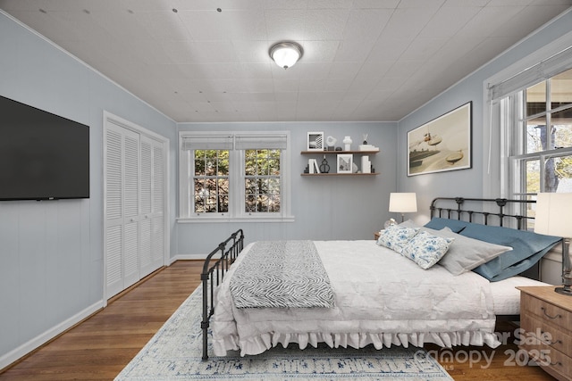 bedroom with multiple windows, wood-type flooring, and a closet