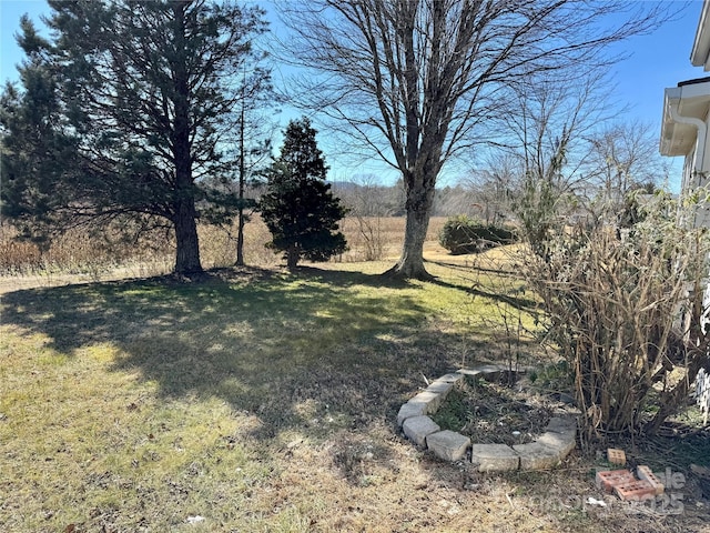 436 Riverwind Dr, Hendersonville, NC 28739 - view of yard