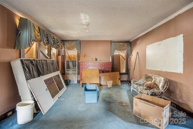 living area with dark carpet, ornamental molding, and a textured ceiling