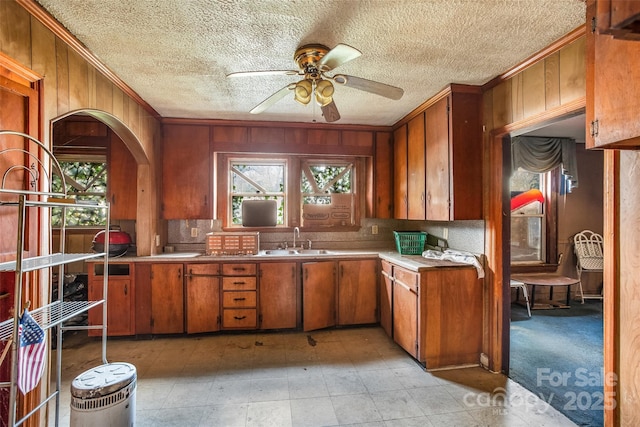 kitchen with tasteful backsplash, sink, ceiling fan, crown molding, and a textured ceiling