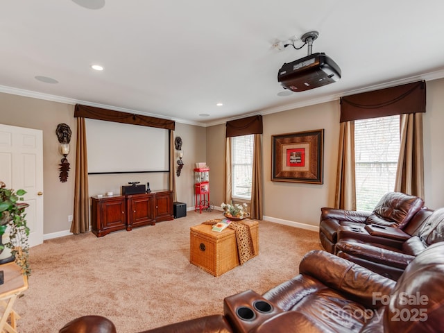 cinema featuring crown molding and light carpet