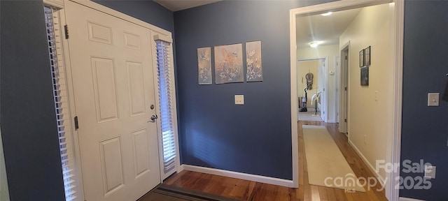 entrance foyer featuring hardwood / wood-style flooring