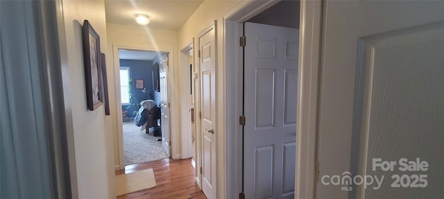 hallway featuring light hardwood / wood-style floors