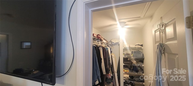 view of spacious closet