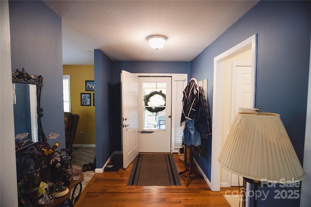 25 Upland Rd, Brevard, NC 28712 - entrance foyer featuring wood finished floors, plenty of natural light, and baseboards