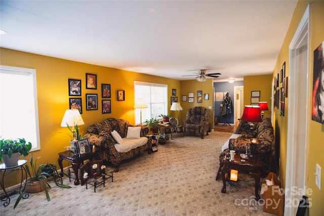 25 Upland Rd, Brevard, NC 28712 - living area with carpet floors and a ceiling fan