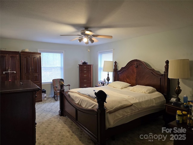 25 Upland Rd, Brevard, NC 28712 - bedroom with light carpet and a ceiling fan