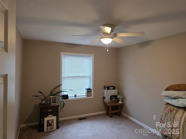 25 Upland Rd, Brevard, NC 28712 - miscellaneous room with a ceiling fan, carpet flooring, and baseboards