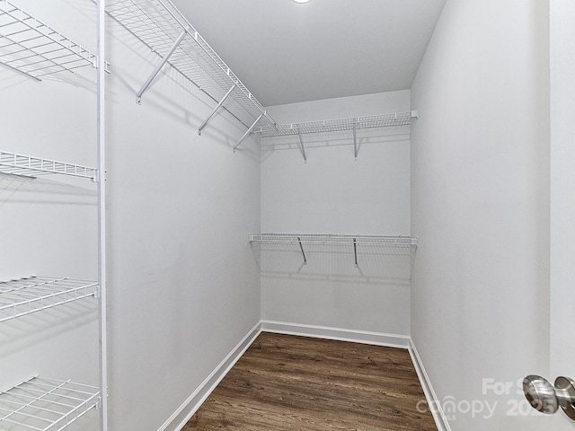 spacious closet featuring dark hardwood / wood-style flooring