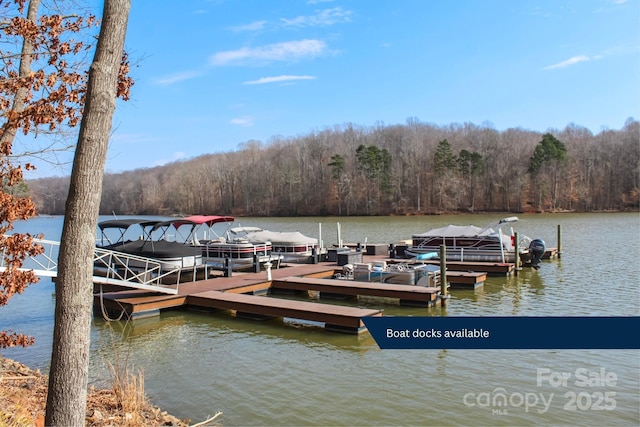 view of dock with a water view