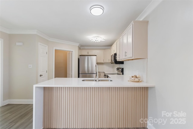 kitchen featuring sink, ornamental molding, stainless steel appliances, and kitchen peninsula