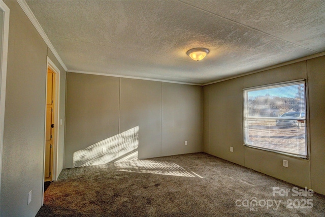 unfurnished room featuring ornamental molding, carpet, and a textured ceiling