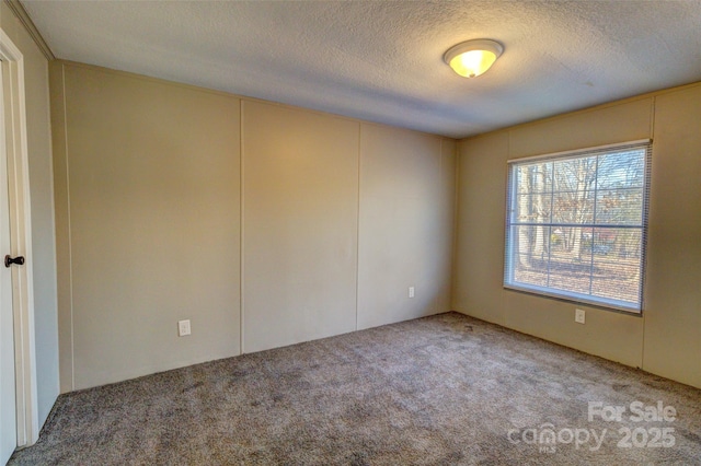 empty room with carpet flooring and a textured ceiling