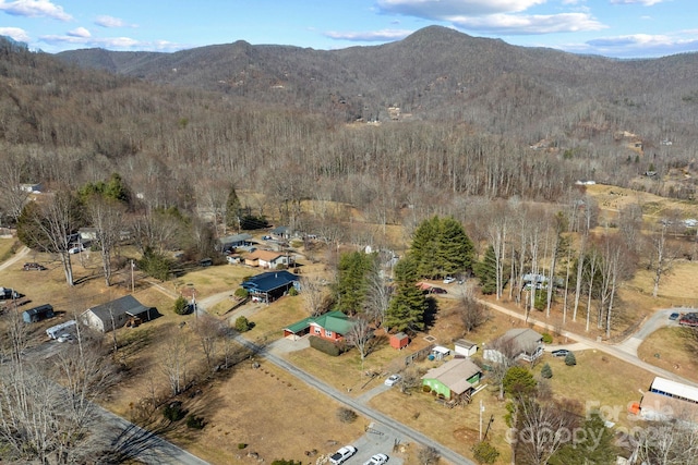 birds eye view of property with a mountain view