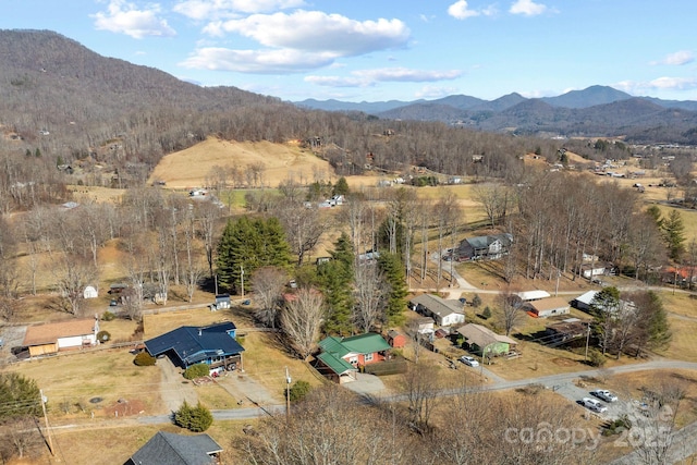 bird's eye view featuring a mountain view