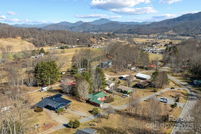 bird's eye view featuring a mountain view