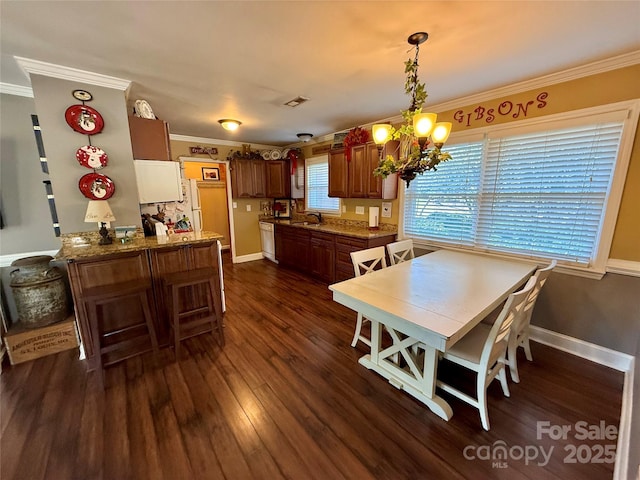 dining space featuring crown molding, sink, and dark hardwood / wood-style floors