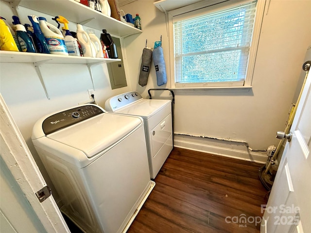 clothes washing area featuring washing machine and dryer, dark hardwood / wood-style floors, and electric panel