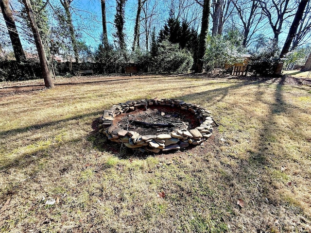 view of yard with an outdoor fire pit