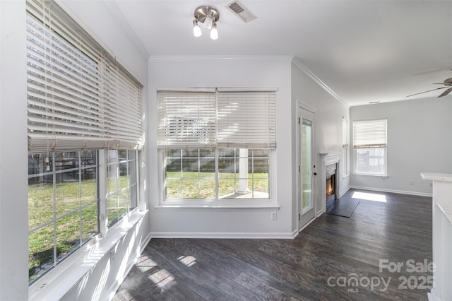 interior space featuring ceiling fan and a wealth of natural light