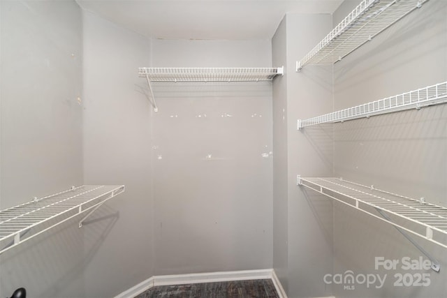 spacious closet featuring wood-type flooring