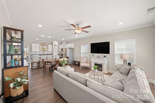 living room with crown molding, ceiling fan, and dark wood-type flooring