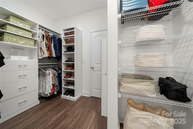 walk in closet featuring dark wood-type flooring