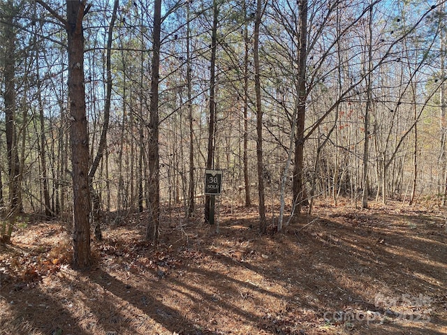 Listing photo 2 for LOT30 Hull Ave, Nebo NC 28761