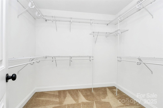 spacious closet with carpet floors