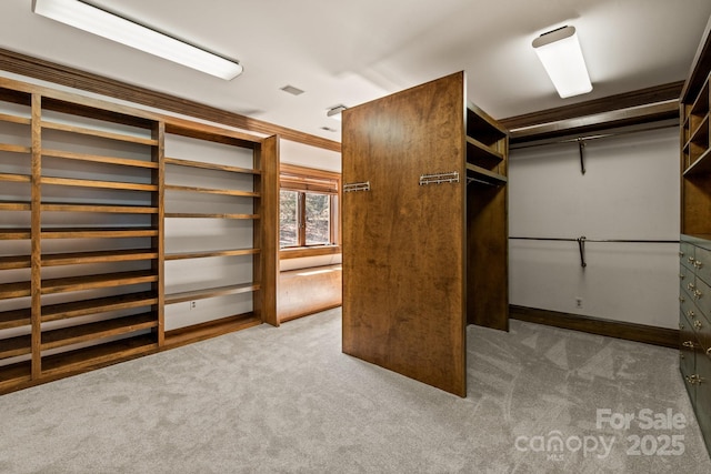 spacious closet with carpet flooring