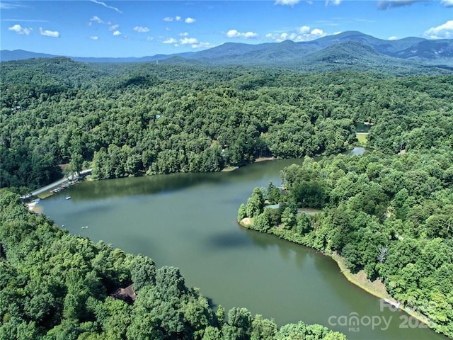 000 Swans Way W Unit 216, Lake Lure NC, 28746 land for sale