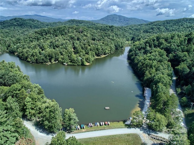 Listing photo 3 for 000 Swans Way W Unit 216, Lake Lure NC 28746