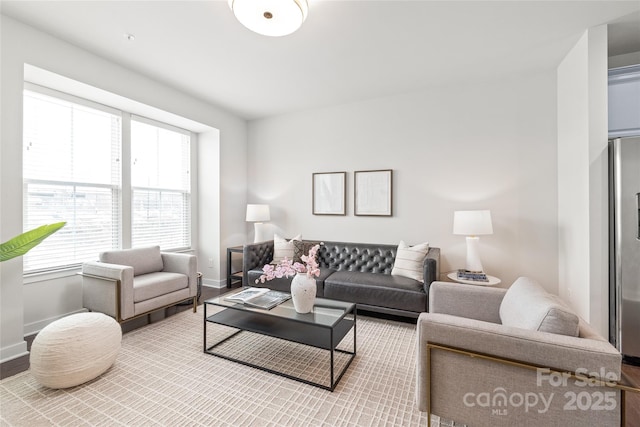 living room featuring hardwood / wood-style flooring