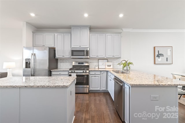 kitchen featuring sink, dark wood-type flooring, stainless steel appliances, tasteful backsplash, and kitchen peninsula