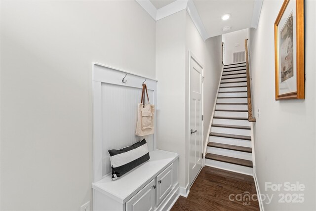 mudroom featuring dark hardwood / wood-style floors