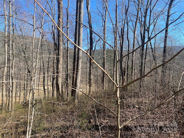 Listing photo 3 for LOT190 Blue Ridge Dr N, Marion NC 28752