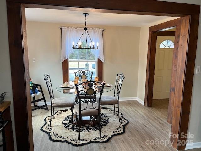 dining room with an inviting chandelier, a healthy amount of sunlight, and light wood-type flooring