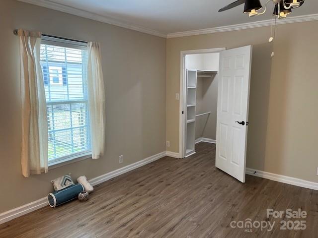 unfurnished bedroom featuring a closet, a spacious closet, ornamental molding, and dark hardwood / wood-style floors