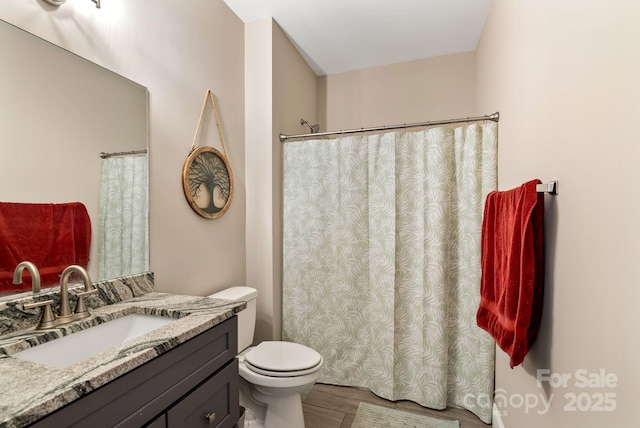 bathroom featuring vanity, wood-type flooring, and toilet