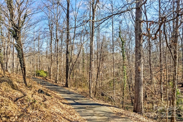 view of road