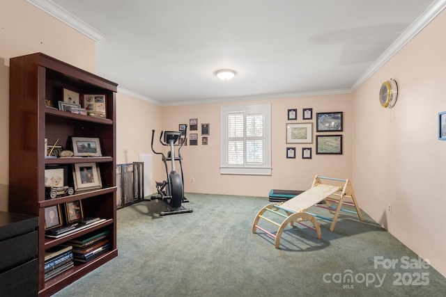 exercise room with ornamental molding and carpet flooring