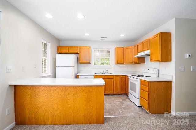 1748 Pergola Pl, Charlotte, NC 28213 - kitchen with a peninsula, light carpet, white appliances, light countertops, and under cabinet range hood