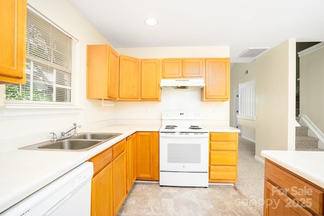 1748 Pergola Pl, Charlotte, NC 28213 - kitchen with visible vents, a sink, light countertops, under cabinet range hood, and white appliances