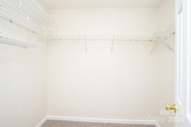 1748 Pergola Pl, Charlotte, NC 28213 - spacious closet featuring carpet