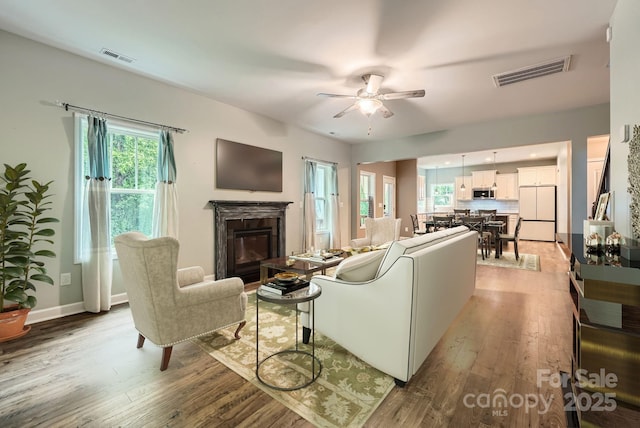 2864 Park Ridge Blvd, Rock Hill, SC 29732 - living room featuring a ceiling fan, wood finished floors, a fireplace, and plenty of natural light