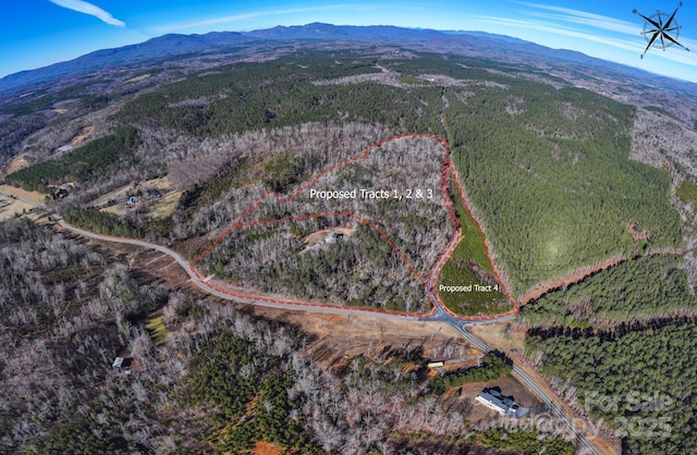 3 Polk County Line Rd Unit 1, 2, Mill Spring, NC 28756