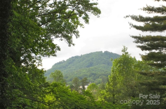 view of mountain feature